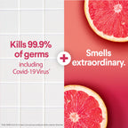 Buy now Clorox Scentiva Disinfecting Wipes, Grapefruit and Orange Blossom, 75 Ct., Pack of 3 (Pack May vary) at indiglob india