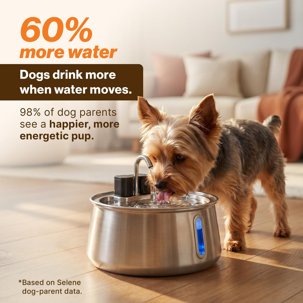 Selene Wireless Doggy Fountain, 4L (1.1 Gal) Cordless Dog Water Fountain for Dogs Inside, Stainless Steel Pet Fountain, 4-Layer Filtration, 30-Day Battery