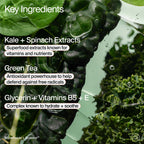 Buy now Youth To The People Superfood Facial Cleanser - Kale + Green Tea Daily Face Wash, Gentle Makeup Remover, with Soothing Antioxidants for Glowing Skin, pH Balance, Clean Pores, Sulfate-free, Refillable at indiglob india