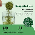 Micro Ingredients Super Greens Powder, 100 Superfoods, Green Drink Mix, 1lb | Superfood Blend with Daily Greens, Probiotics, Fruits, Vegetables & Mushrooms | 45 Servings | Non-GMO, Gluten-Free