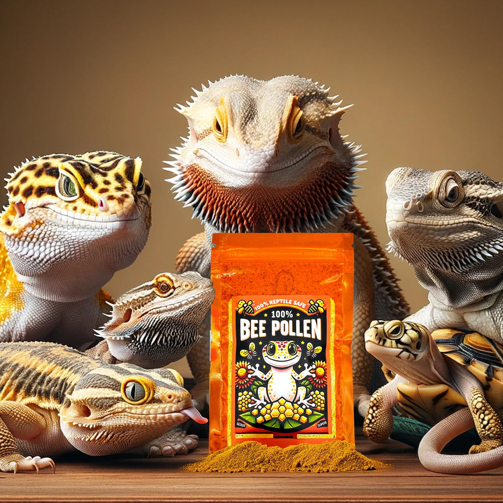 CTWPets 100% Bee Pollen Powder - Food for Reptiles