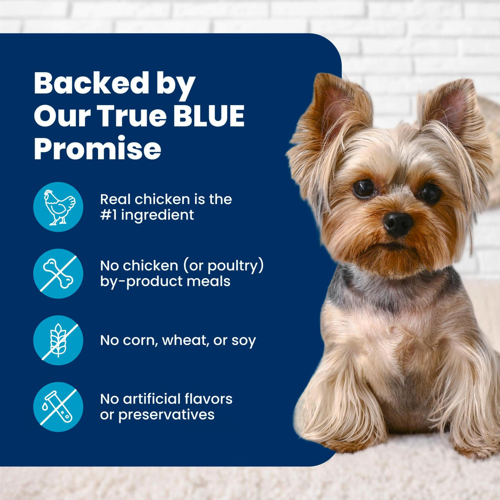 Blue Buffalo Life Protection Formula Small Bite Chicken Dry Dog Food, 15 lb