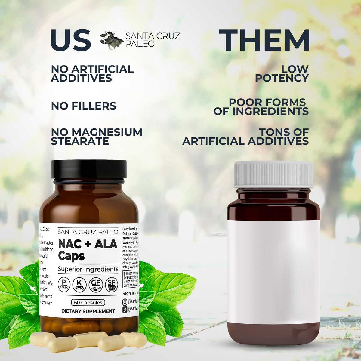 Santa Cruz Paleo, NAC + ALA Caps, NAC Supplement and Antioxidant Complex with Alpha Lipoic Acid and N-Acetyl Cysteine, Cellular Support and Nutrient Balance, Gluten Free, Keto, Paleo, 60 Capsules