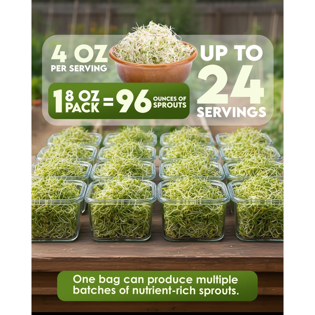 Nature Jim's Sprout Organic Broccoli Seeds – Non-GMO, Sprouting Seeds - 8oz