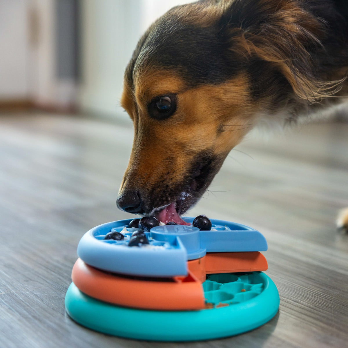Outward Hound Nina Ottosson Lickin’ Layers 3-in-1 Dog Toy Treat Puzzle, 7"