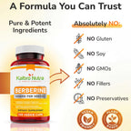 Kaibro Nutra Berberine HCL Supplement 1000mg | Immune System Support