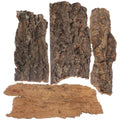 IMIKEYA 4Pcs Reptile Tree Bark Reptile Hides: Natural Wood Cork Bark Gecko Hide Small Climbing Barks Terrarium Decor Lizard Geckos Tortoise Birdcage Tank Accessories Water Tube Landscaping