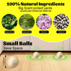 Rodent & Mice Repellent 12 PCS,Mouse Repellent Balls