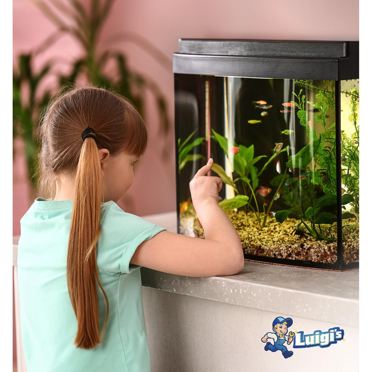 Luigi's Fish Tank Cleaner - Turtle Tank Accessories - Gravel Vacuum for Aquarium - Hand Siphon Hose to Remove and Change Water or Sand in Minutes - Aquarium Cleaning Tools