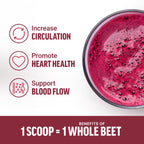 Force Factor Total Beets Organic Beet Root Powder Superfood, Non-GMO | Boost Daily Nutrition, USDA Organic, Vegan, Gluten-Free, and Beet Supplement, Unflavored, 90 Servings
