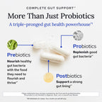 Gundry MD Bio Complete 3, 3-in-1 Probiotics, Pre & Postbiotics, 30 Servings | Certified Gluten Free, Certified Vegetarian, Supports Better Digestion, Bowel Movements & Energy, Keto Friendly, Sugar Free