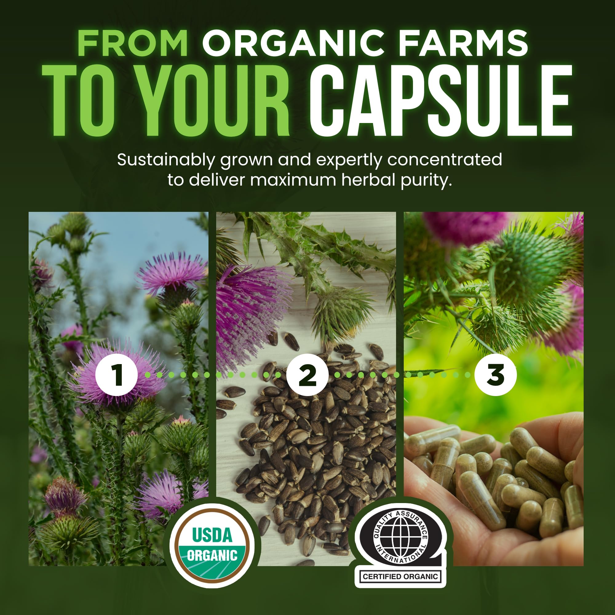 OmniBiotics Organic Milk Thistle Supplement 1500mg – 4X Concentrated Extract with Silymarin – High Potency Liver Detox & Support – 120 Vegan Capsules
