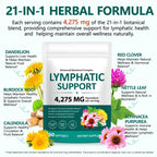 FANSHI Lymphatic Drainage Supplements 60 Softgels | Herbal Blend with Echinacea, Dandelion & Burdock Root | Promotes Healthy Circulation & Fluid Balance | Supports Overall Daily Wellness