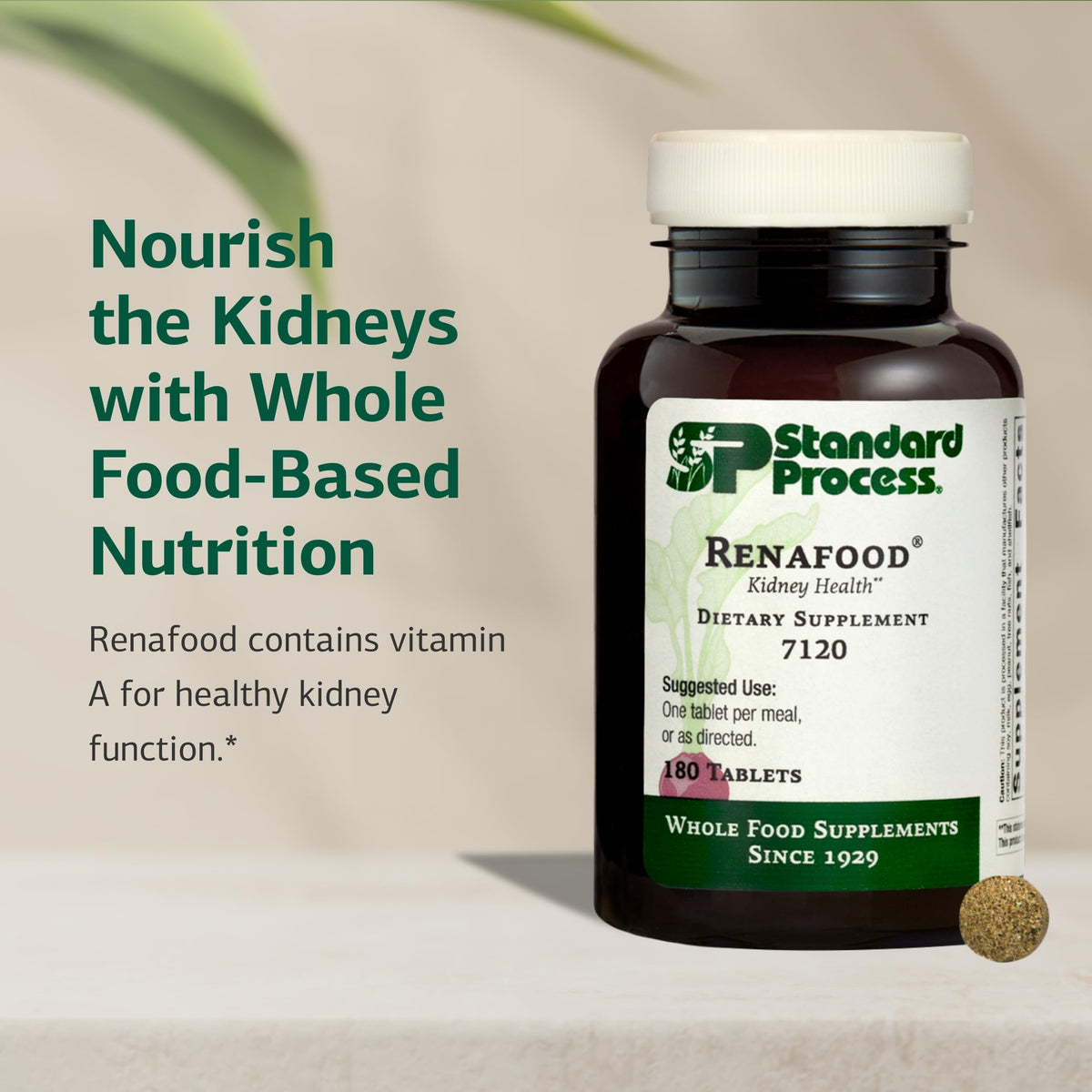 Standard Process Renafood, Kidney Function Support Supplement, 180 Tablets