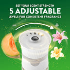 Air Wick Scented Oils Plug in Refill, Summer Delights, Essential Oil, 5ct