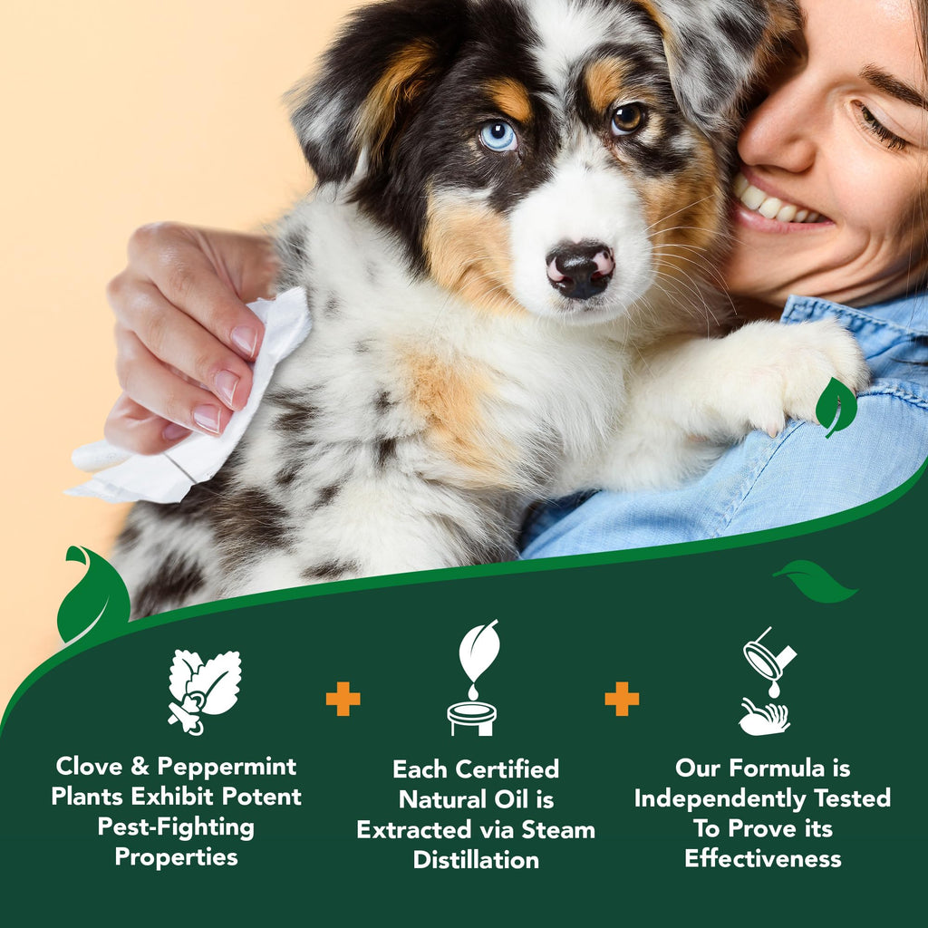 Vet's Best Flea & Tick Wipes for Dogs, Plant-Based, Pest Control, 50 Count