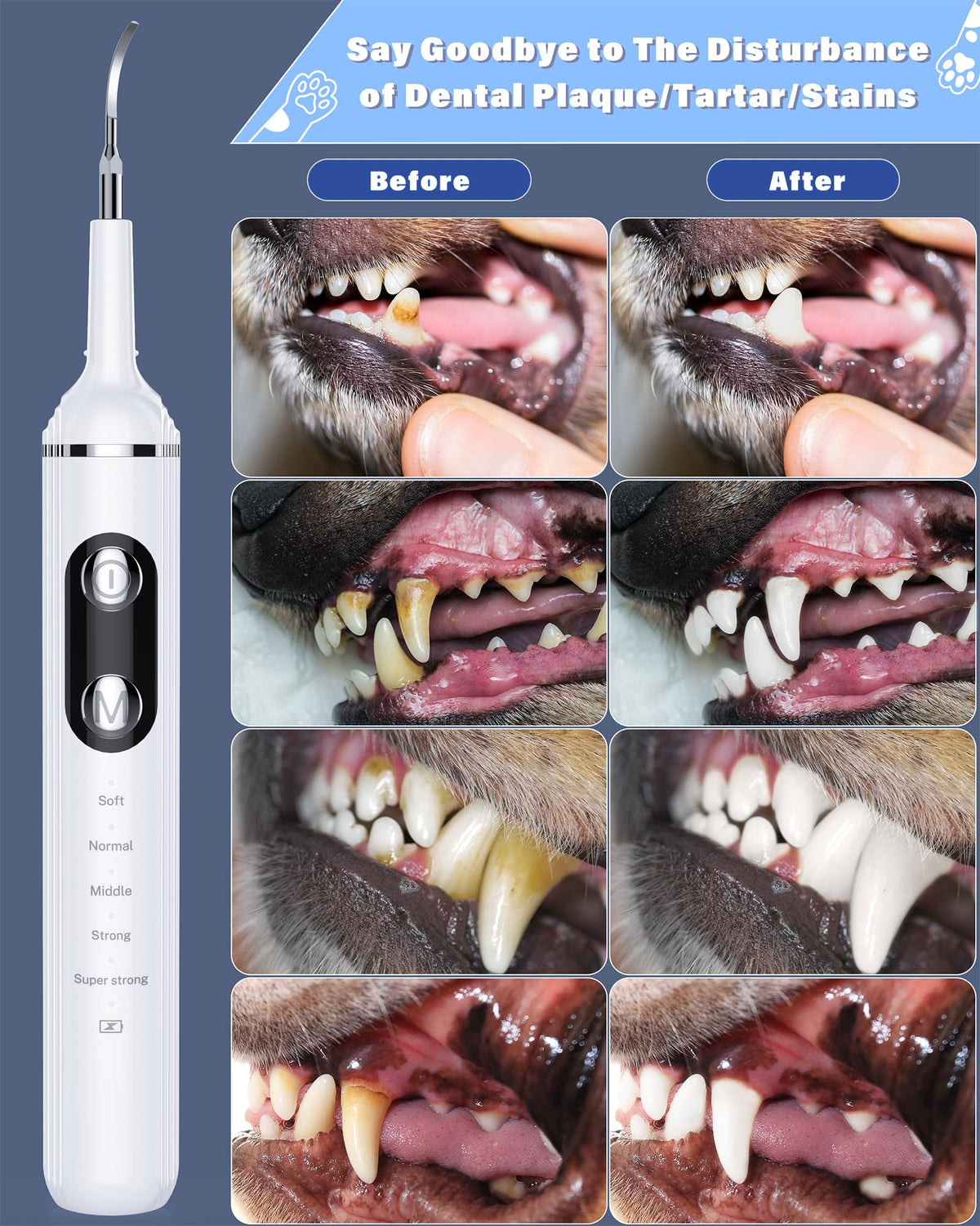 NATURE NERDS Plaque Remover for Teeth, Pet Tooth Brushing Kit, Dental Tools to Remove Plaque and Tartar, Safe for Dog and Cat, with LED Light, White