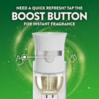 Air Wick Plug In Air Freshener Refills, Lush Honeysuckle & Sweet Peach, 4ct