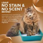 Zero Odor Pet Stain Remover & Odor Eliminator Spray for Carpet, 16 oz