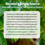 12-in-1 Soursop Bitters Liquid Drops with Sea Moss, Moringa, Turmeric, Echinacea & Ashwagandha | Herbal Tonic | Digestive Wellness & Immune Support | 4 Fl Oz