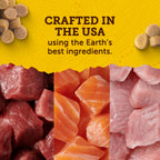 Zuke’s Puppy Naturals Training Dog Treats, Salmon Recipe, 5 oz Pouch