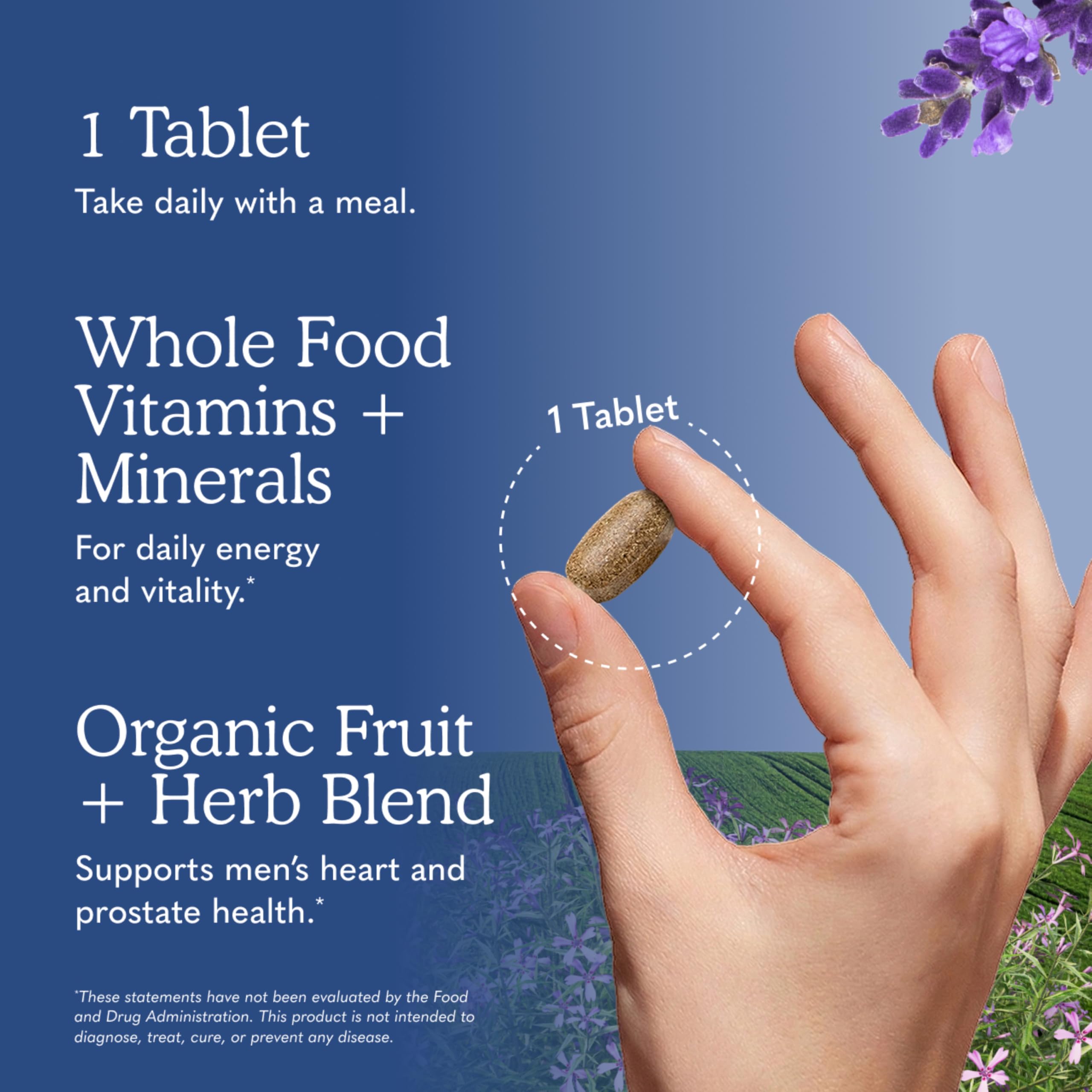 Garden of Life Once Daily Whole Food Multivitamin for Men, Organic Mens Vitamins & Minerals, Vitamin C, Zinc, Vegan, for Health & Well-Being, 60 Tablets | Organic Mens Vitamins & Minerals, Vitamin C, Zinc, Vegan, For Health & Well-Being, Whole Food