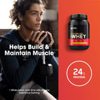 Buy now Optimum Nutrition Gold Standard 100% Whey Protein Powder, Banana Cream, 2 Pound (Packaging May Vary) at indiglob india