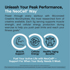 NeoCell Creatine Monohydrate Powder | 1.1 lb | Unflavored