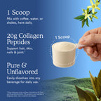 Garden of Life Grass Fed Collagen Peptides Powder Unflavored Collagen Powder for Women Men Hair Skin Nails Joints, Hydrolyzed Collagen Protein Supplements, Collagen for Women & Men, 28 Servings