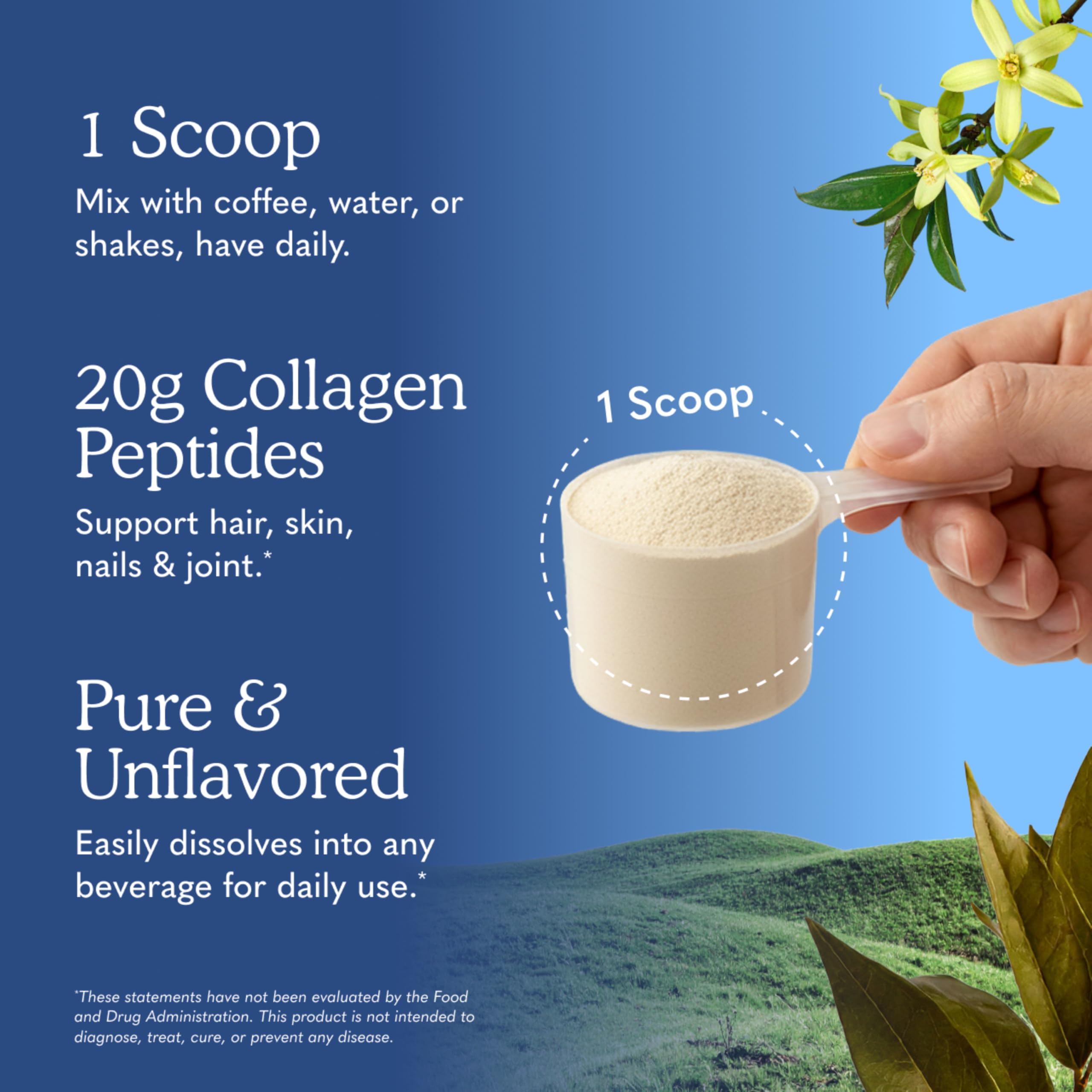Garden of Life Grass Fed Collagen Peptides Powder Unflavored Collagen Powder for Women Men Hair Skin Nails Joints, Hydrolyzed Collagen Protein Supplements, Collagen for Women & Men, 28 Servings
