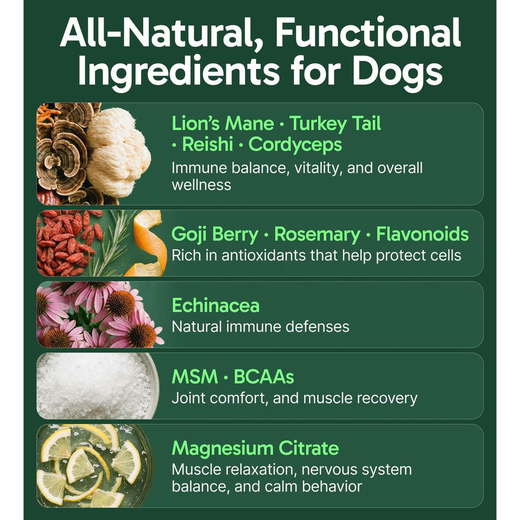 K9 Immune, All-Natural Mushroom Powder for Dogs for Immunity, Digestion, Joints, & Energy, Antioxidant-Rich & USA-Made, Dog Immune Support with Turkey Tail Mushroom for Dogs, 30 Servings