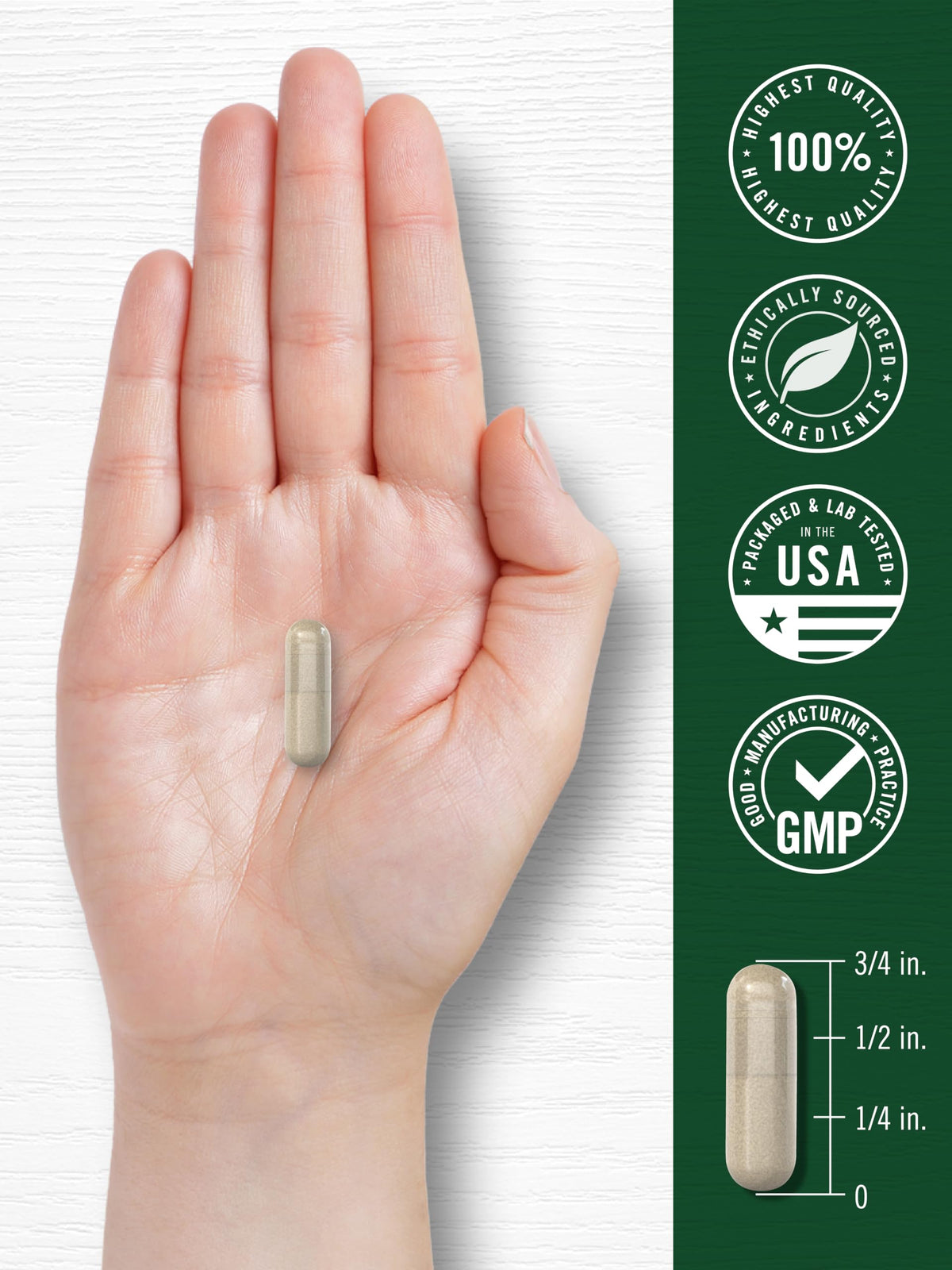 Carlyle Fo-Ti Supplement | 180 Capsules | He-Shou-Wu Root Extract
