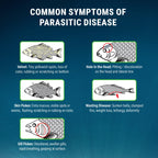 Fritz Aquatics ParaCleanse Provides Fast Relief from Parasitic Diseases (20-Count)
