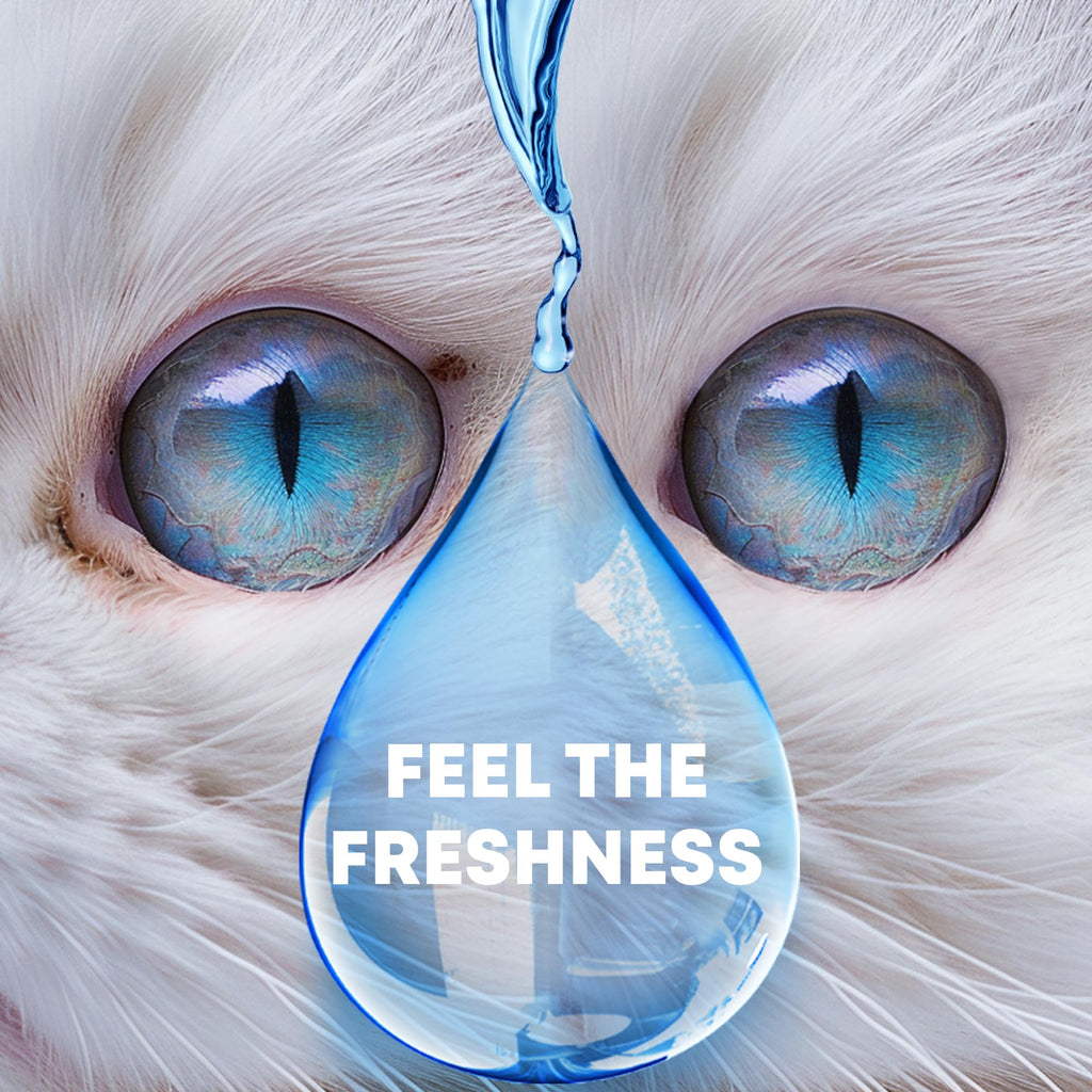 Dog Eye Drops & Eye Infection Treatment for Dogs and Cats – Soothe Infection & Allergy, Relieve Dry Eyes & Pink Eye, Pet Tear Stain Wash & Cleaner - Kitten Eye Drops for Discharge, Eye Rinse & Flush