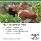 TMG Betaine Anhydrous 1,000mg, 99%+ Purity, Methylation, 180 Capsules | Methylation + Training Supplement, 99%+ Purity Single-Ingredient, Recovery Support, Clean Powder Cap, 90 Servings