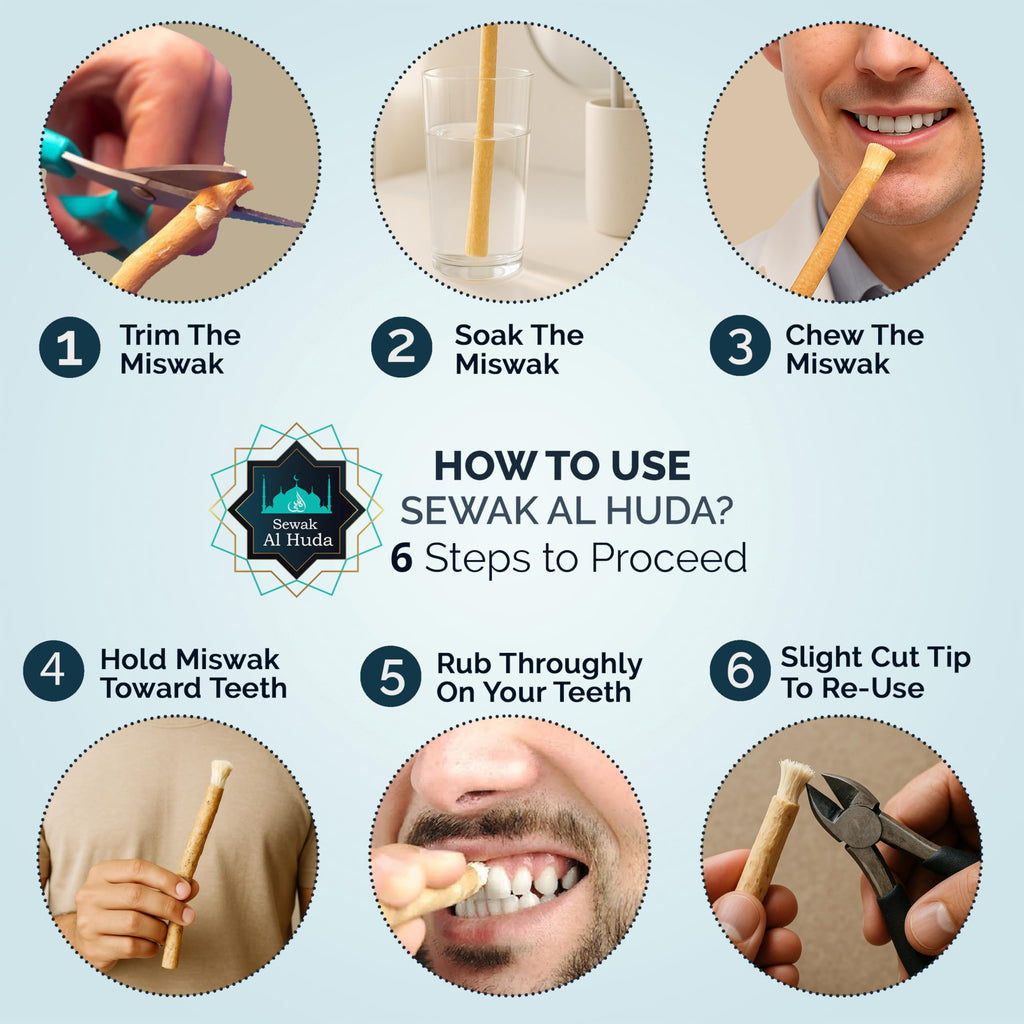 12 Pcs Miswak Sticks with Holder - Vacuum Sealed Chewing Miswak Sticks for Teeth - Natural Flavored Toothbrush for Teeth Whitening, Oral Health, and Fresh Breath || Pack of 12