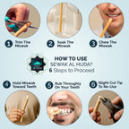 12 Pcs Miswak Sticks with Holder - Vacuum Sealed Chewing Miswak Sticks for Teeth - Natural Flavored Toothbrush for Teeth Whitening, Oral Health, and Fresh Breath || Pack of 12