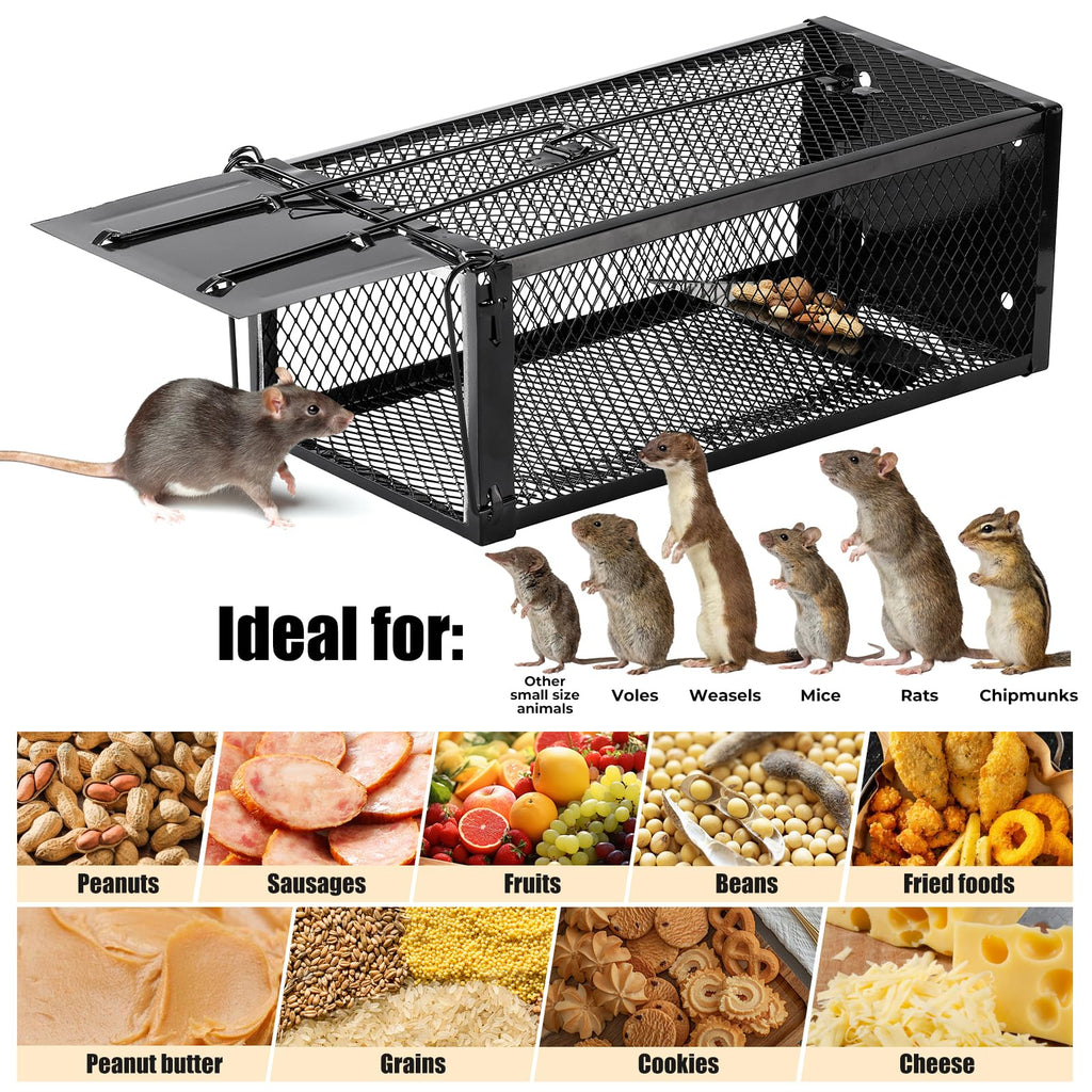 2 Pack Humane Rat Traps 12.5"x5.5"x4.5", Reusable Mouse Traps for Indoor/Outdoor Use, No-Kill Live Capture for Chipmunks, Rats, Mice