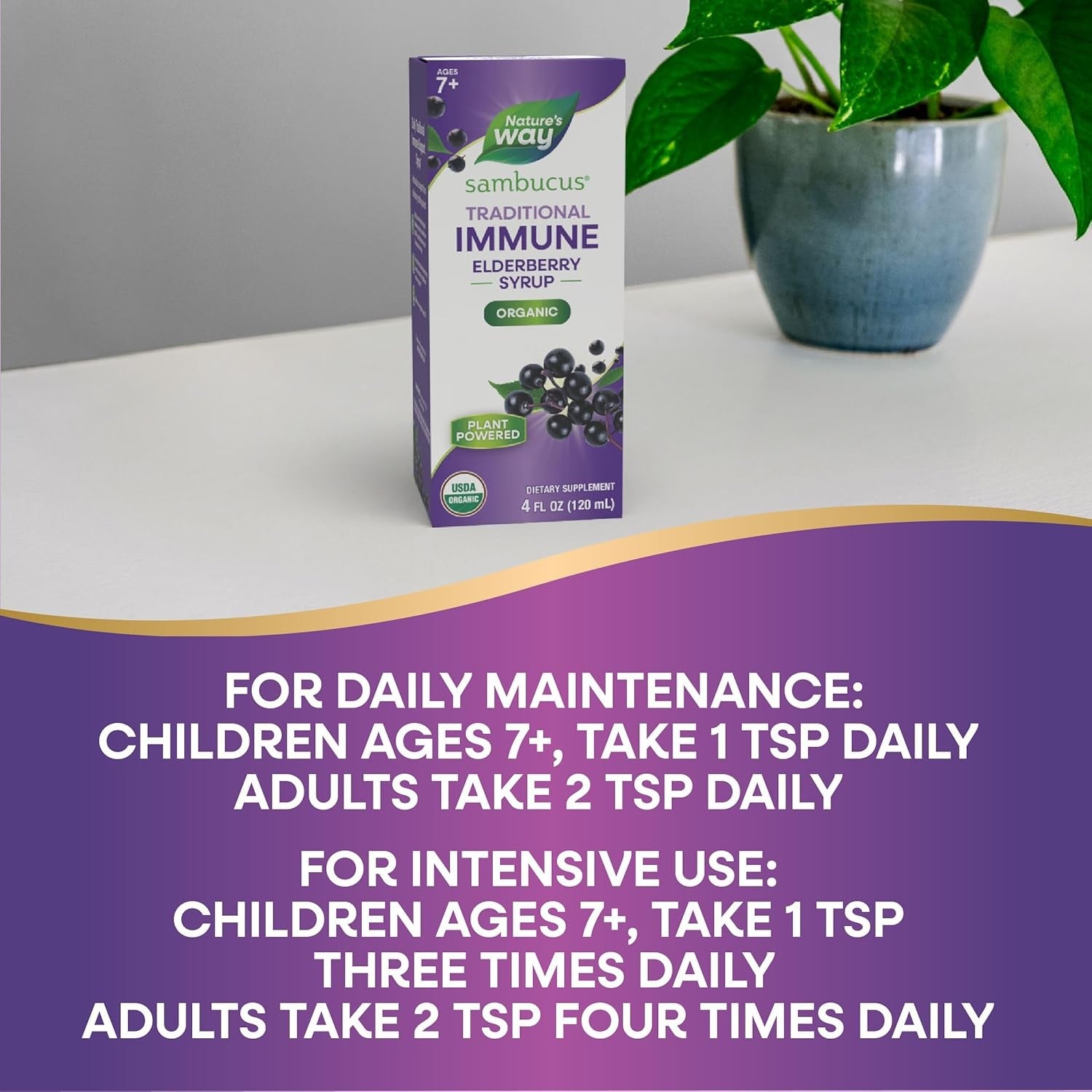 Buy now Nature's Way Sambucus Traditional Immune Elderberry Syrup for Ages 7+, Traditional Immune & Antioxidant Support*, Organic Black Elderberry Extract, USDA Certified Organic, 4 Fl Oz (Packaging May Vary) at indiglob india