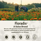 Floradix Iron Tablets Supplement, Vegetarian, Gluten-Free, 120 Tablets | Iron Supplement with B Vitamins, Folic Acid, Vitamin C & More for Energy Support*, Vegetarian & Gluten-Free
