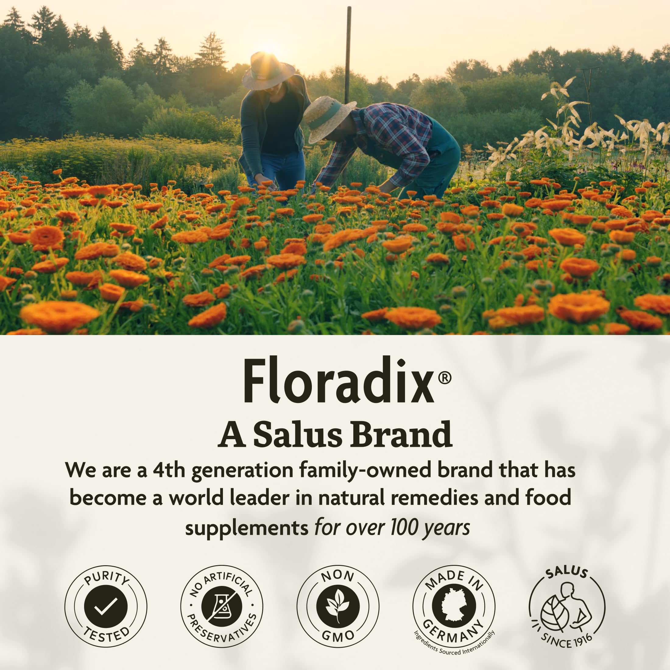 Floradix Iron Tablets Supplement, Vegetarian, Gluten-Free, 120 Tablets | Iron Supplement with B Vitamins, Folic Acid, Vitamin C & More for Energy Support*, Vegetarian & Gluten-Free