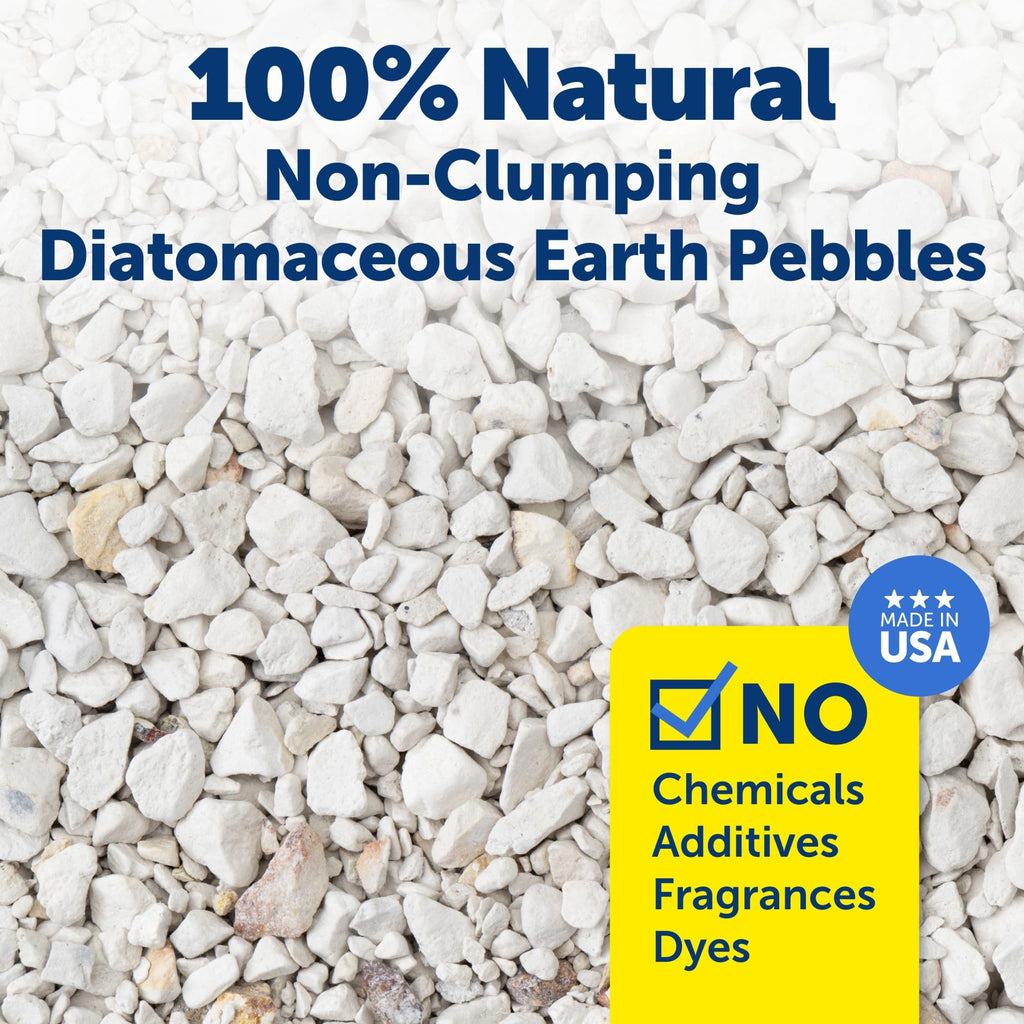 Buy now PetSafe ScoopFree Premium Natural Cat Litter - Eco-Friendly Long-Lasting Litter - High Absorbency & Low-Tracking Design - Non-Clumping Pebbles - 4.2 lb Bag - 2 Pack at indiglob india