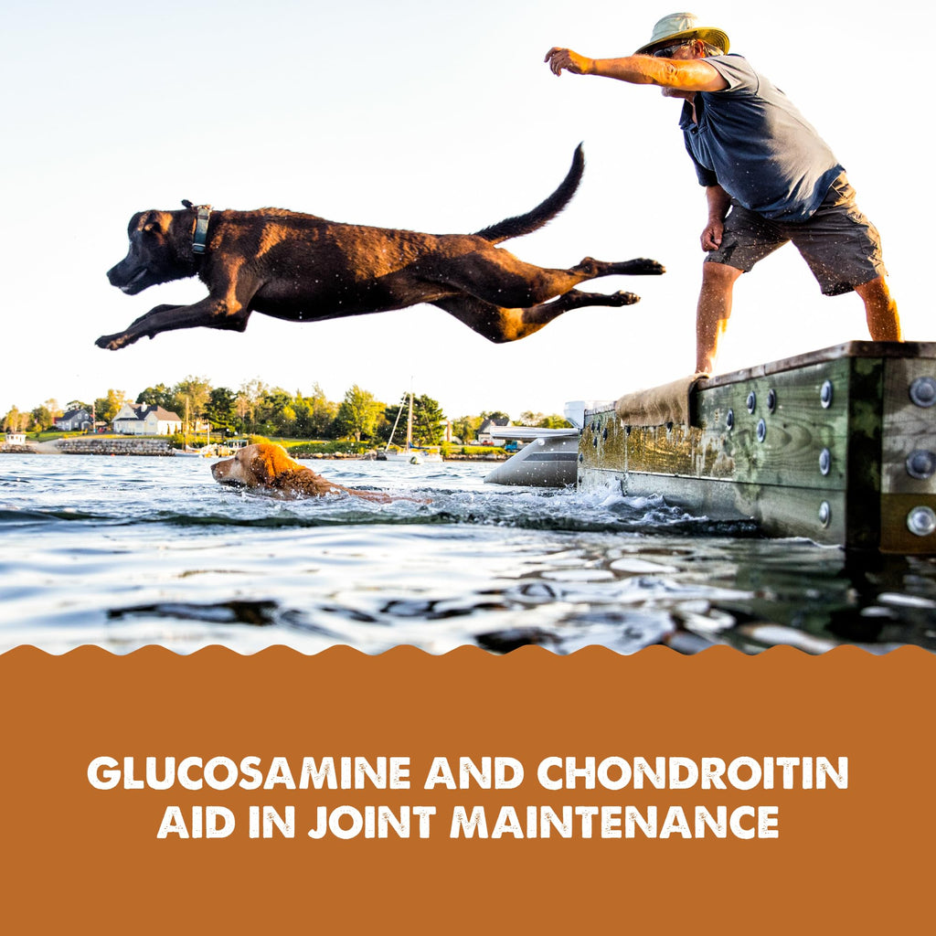 Grizzly Pet Products Joint Aid Liquid Hip and Joint Health Supplement Product for Dogs and Cats, 32 Ounce
