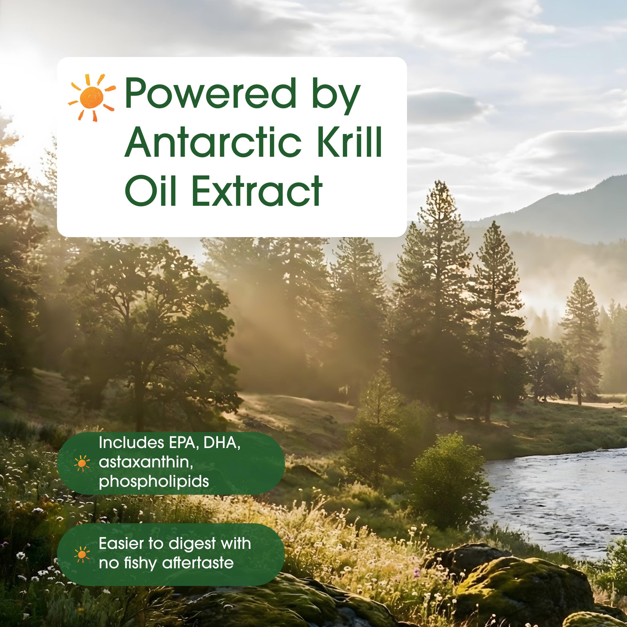 NatureBell Antarctic Krill Oil 1,000mg - 240 Softgels - Omega-3 Heart, Joint & Immune Health Support* - High EPA DHA with Astaxanthin - Non-GMO & Gluten-Free
