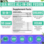 Adndale Sea Moss Capsules - Sea Moss Blend with Ashwagandha, Turmeric & Black Seed Oil - 90 Count