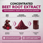 Beet Root Gummies 500mg - Blood Pressure Supplement - Sugar-Free, 60pcs