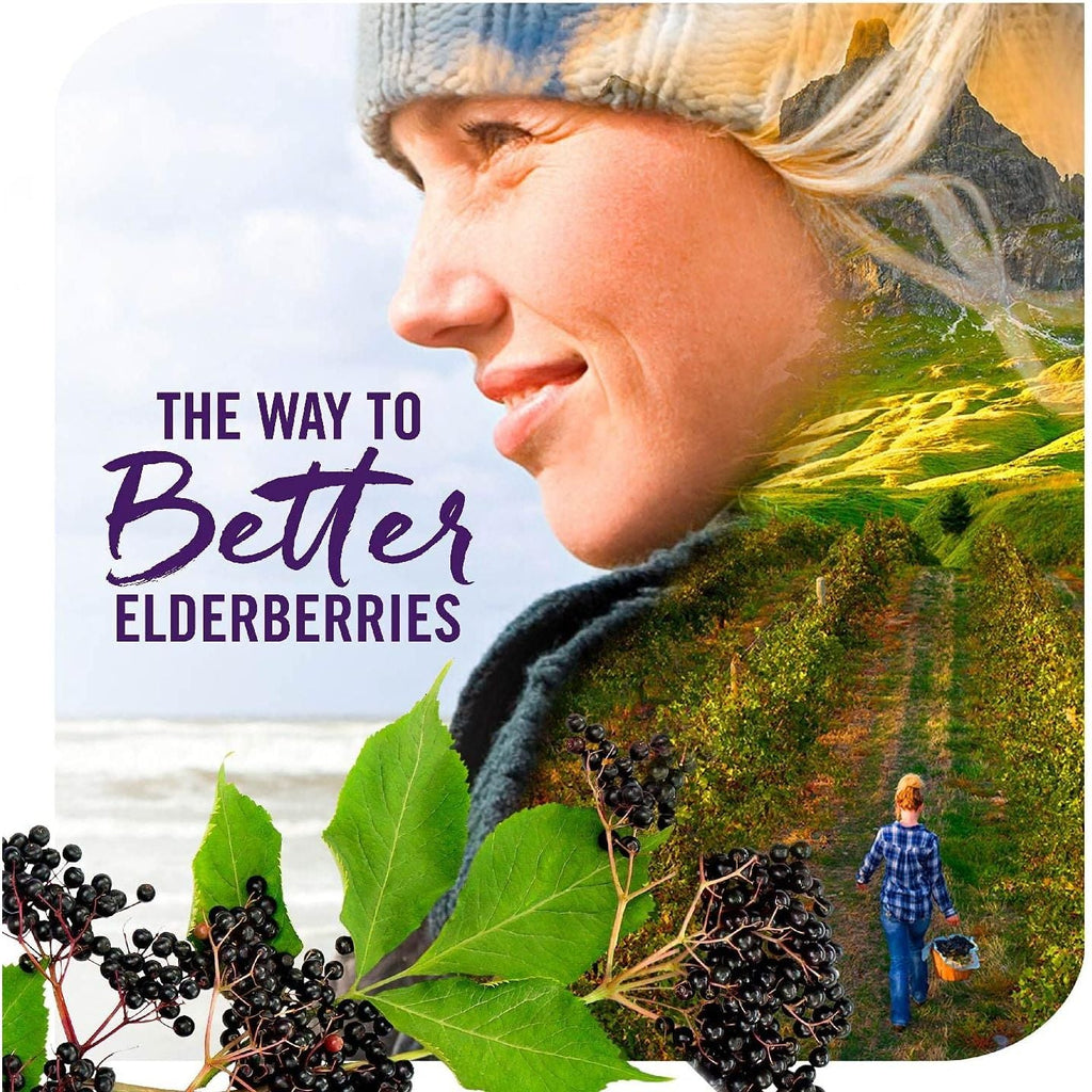 Buy now Natureâ€™s Way Sambucus Zero Sugar Traditional Immune Syrup, Highly Concentrated Black Elderberry Extract, Traditional Immune Support*, Sugar-Free, Berry Flavored, 8 Fl Oz (Packaging May Vary) at indiglob india