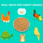 Dried Mealworms 10LB Meal Worms for Chicken Ducks and Wild Birds