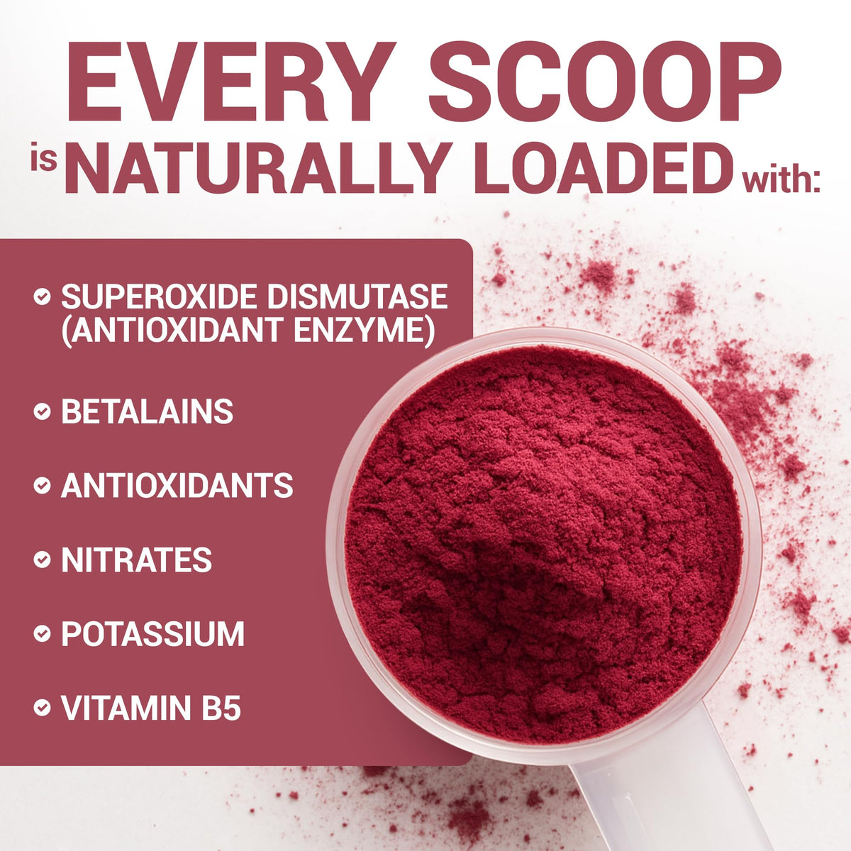 Dr. Berg Raw Organic Beet Powder from Real Earth-Grown Beets – USDA Certified Organic Beet Root Powder to Support Nitric Oxide Levels, Energy, Blood Flow, & Heart Health* – 30 Servings