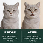 Happy Wags Aim Powder for Cats - 50 Servings